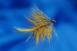 Golden Olive Bumble